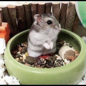 Meet your Posher, Marina